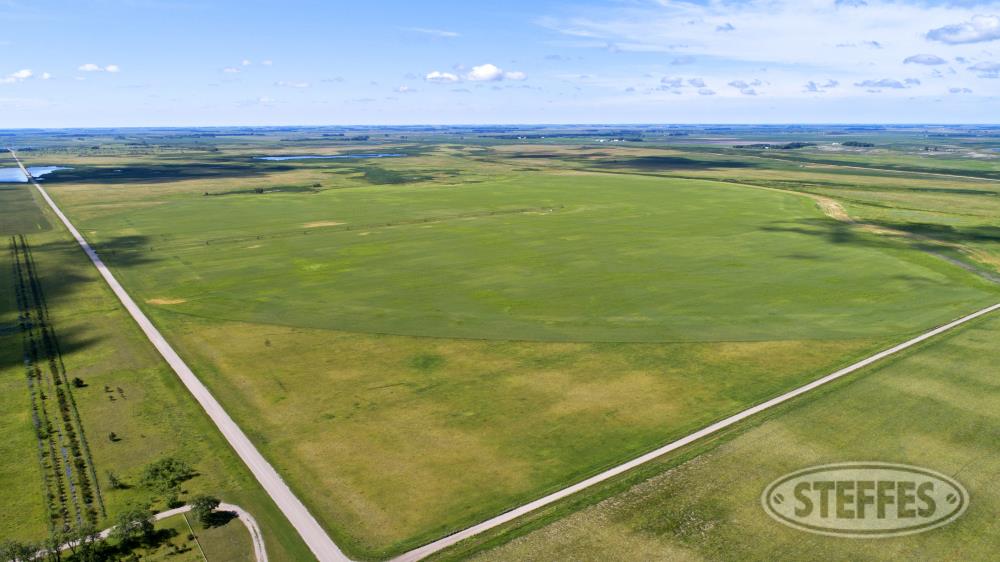 Griggs County, ND - Bryan Township